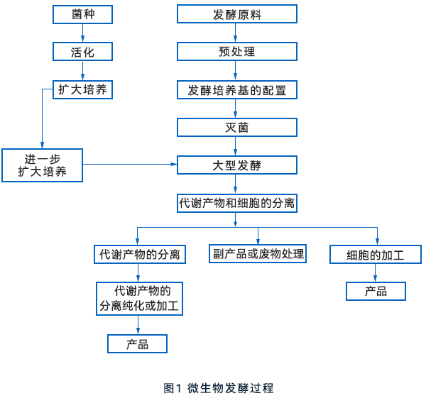 微生物发酵流程 微生物发酵流程