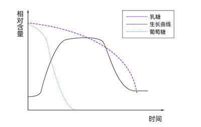 大肠杆菌在不同培养基中的生长 大肠杆菌在不同培养基中的生长